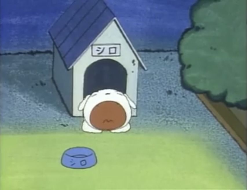 224🌻お久しぶりですね、こっちやさん🌻