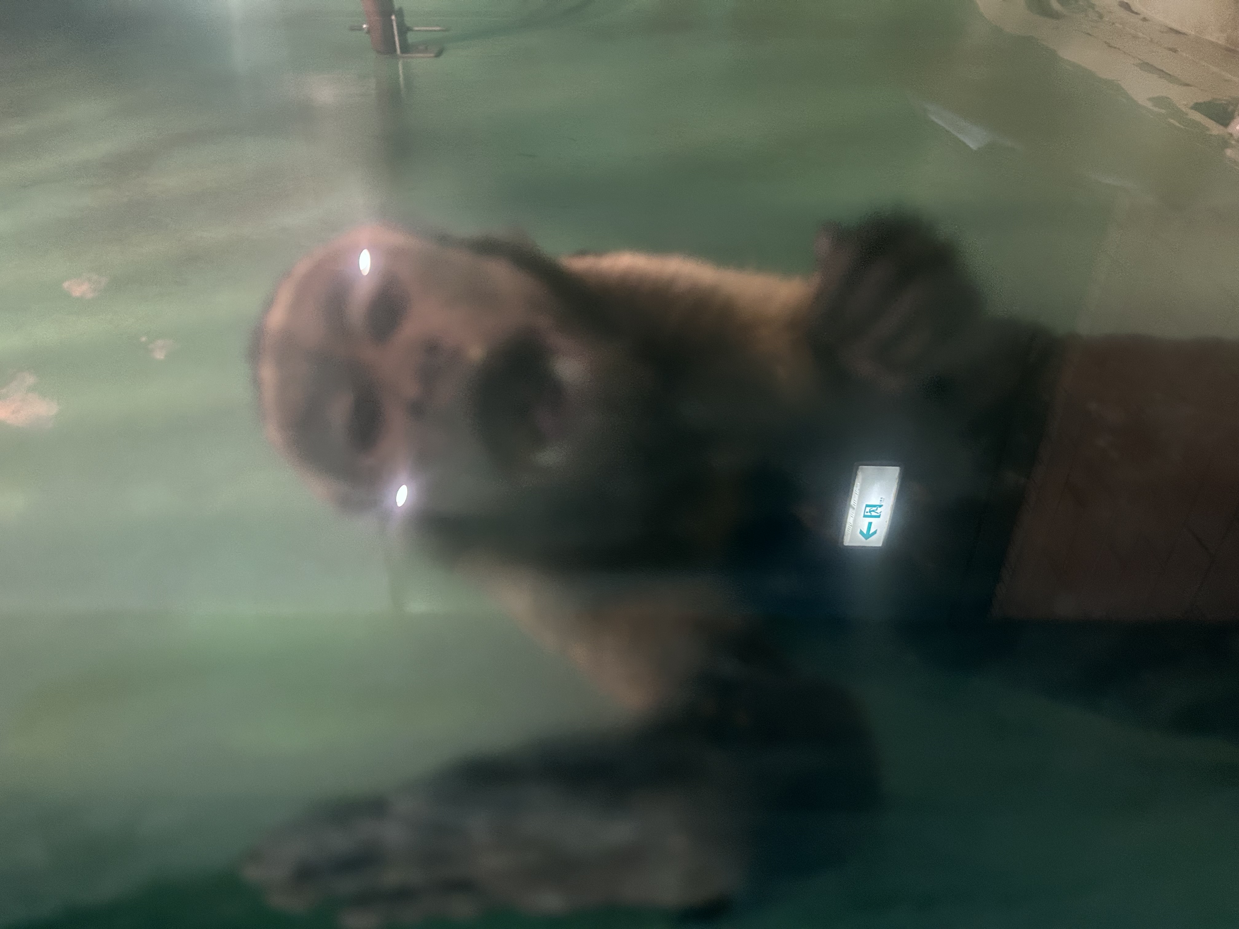 ＃４８ 動物園