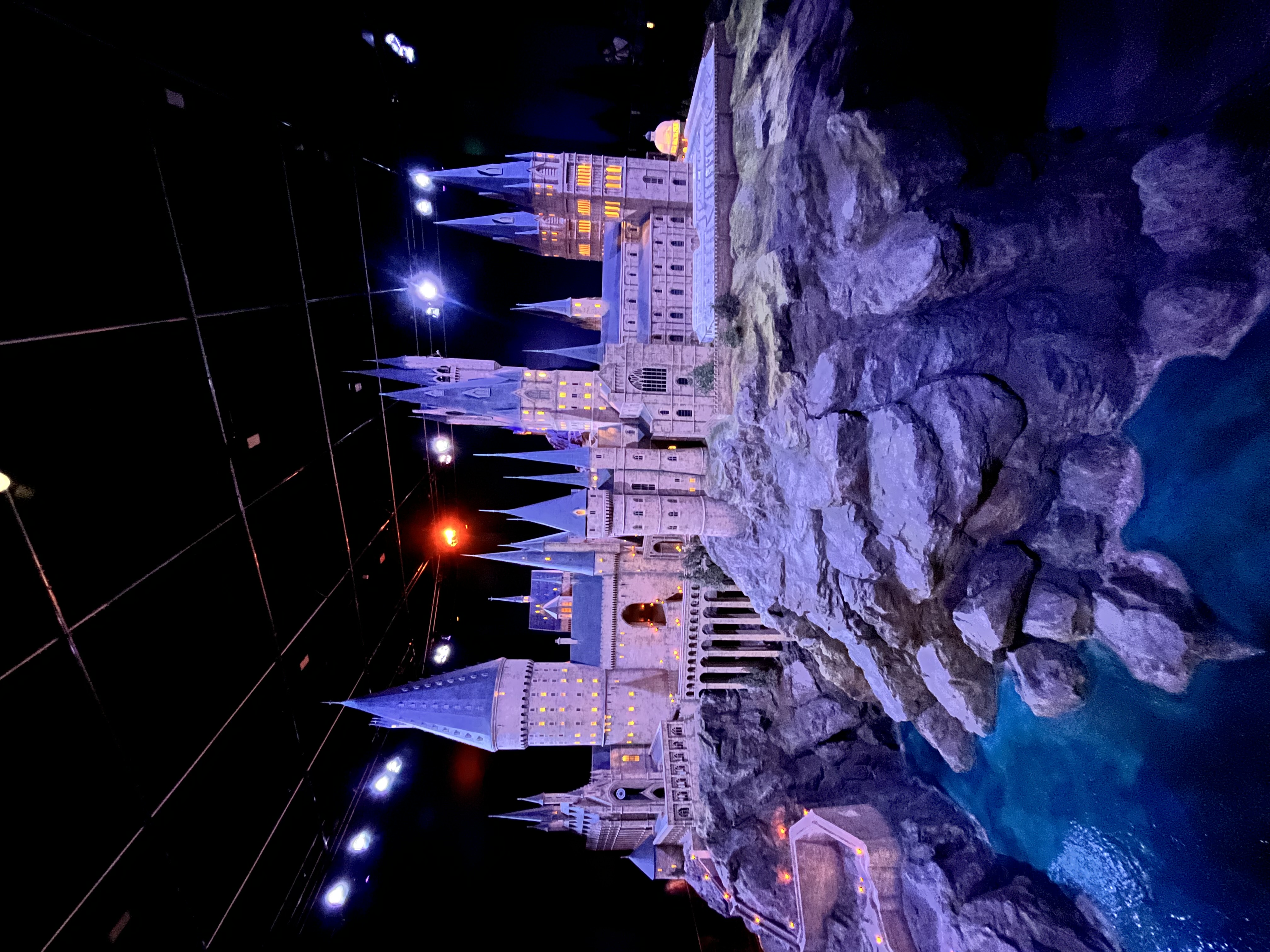 💜ウィンガーディアムレヴィオーサ🪄💜