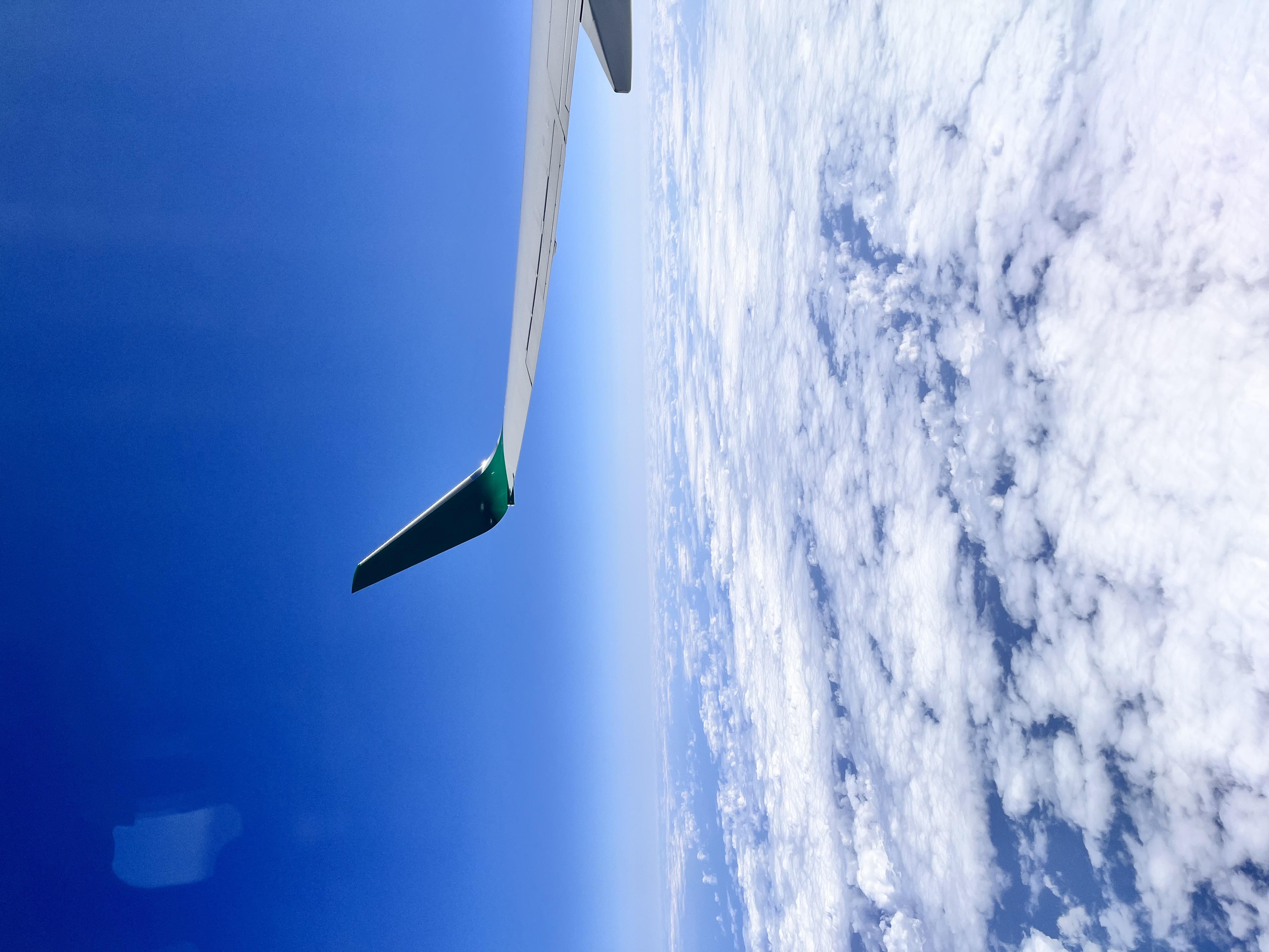 💜おでかけ ①💜