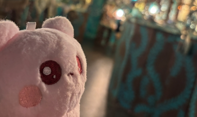 271🌻小さい命、これ庇護欲